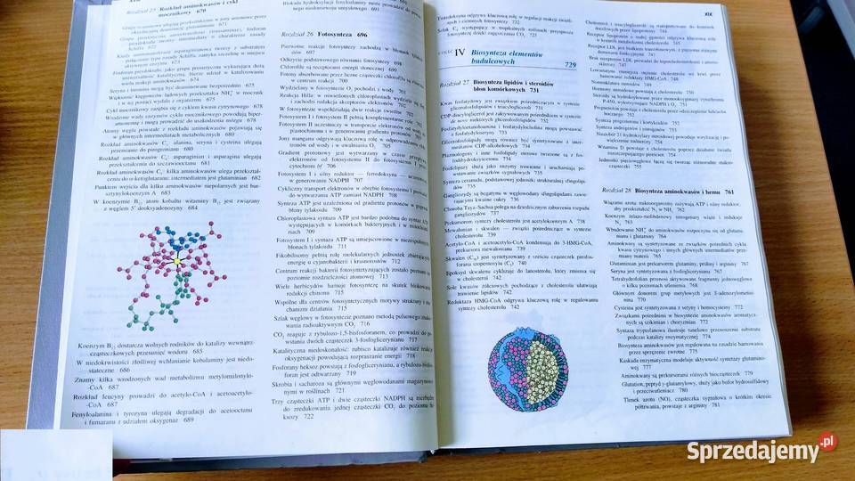 Biochemia Lubert Stryer WYDANIE NOWE 2000 Gdańsk