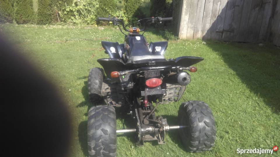 Bashan na dotarciu Bashan Gorzewo