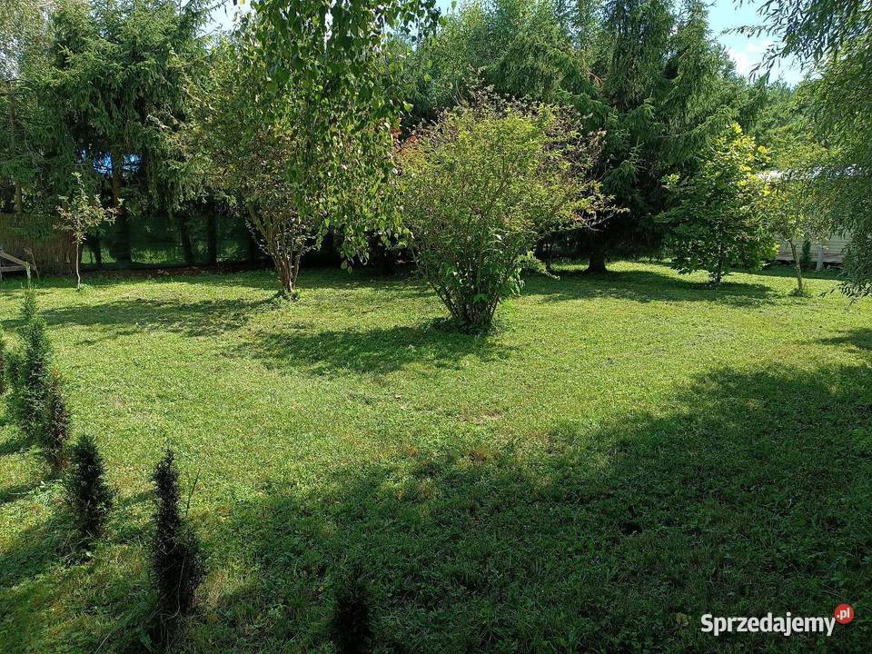 Działka letniskowa na wynajem Lubuskie Skwierzyna