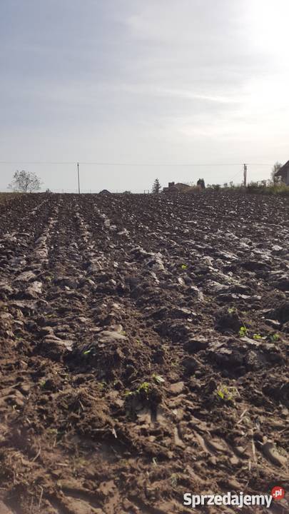 PŁUG LEMKEN OPAL 90 21 OBROTOWY MECHANICZNIE Podłęże