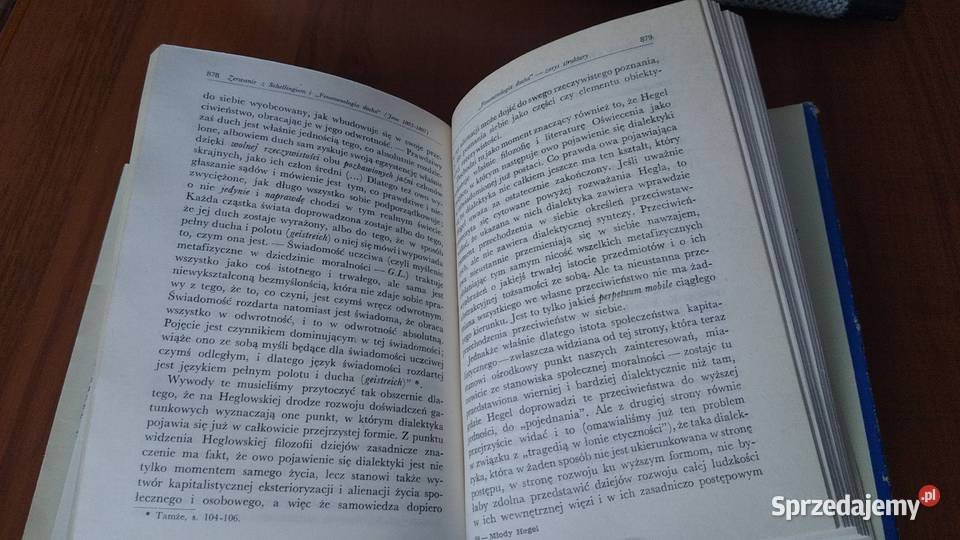 Młody Hegel o powiązaniach dialektyki z