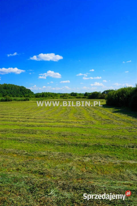 Działka 4705m2 Stankuny sprzedam