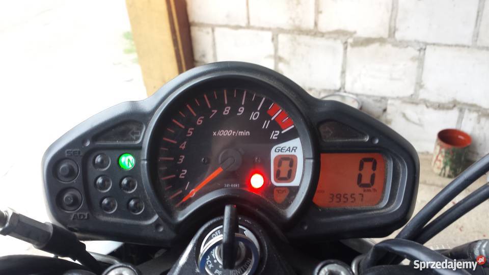 Suzuki SFV650 Gladius A2 Jałówka