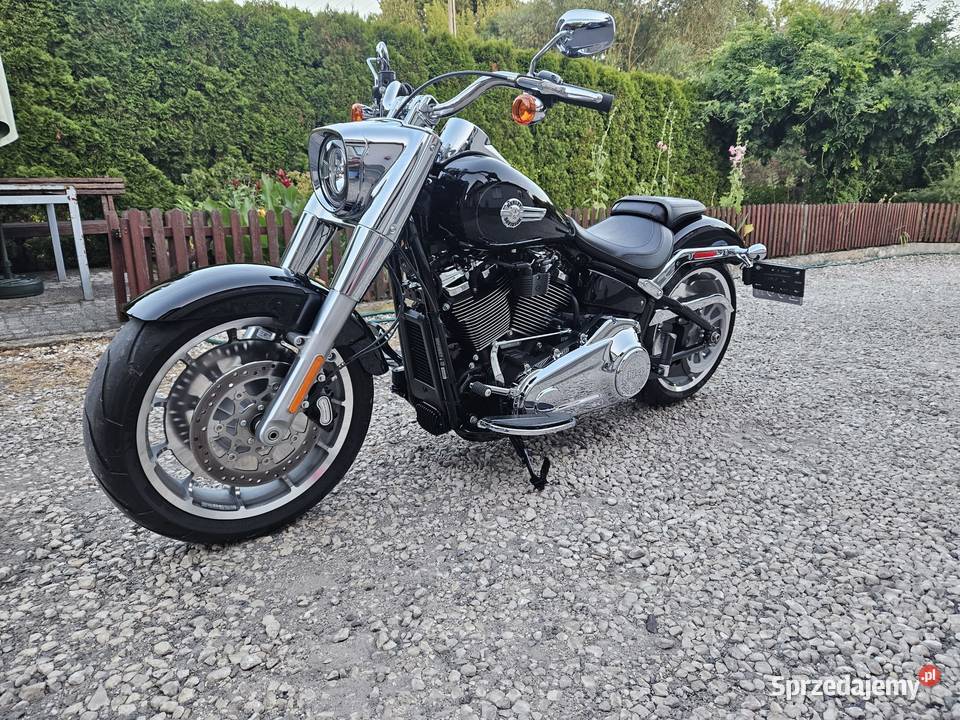 Softail Fat Boy Radom