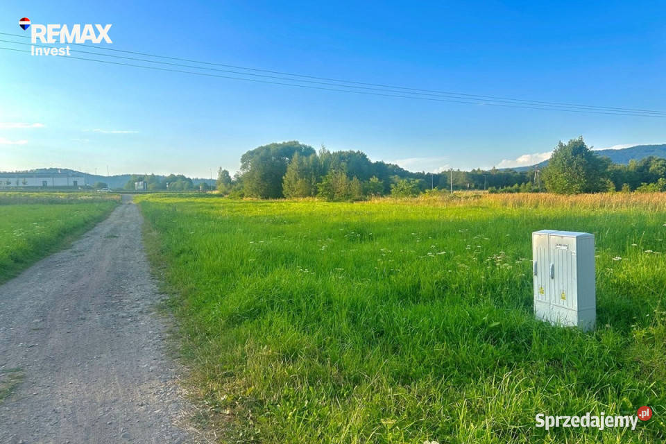 Działka usługowa Buczkowice kSzczyrku 3603m2 Sprzedaż śląskie