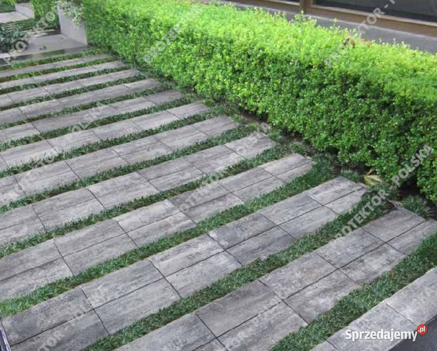 Venetto 90x90 płyta duża wielki format taras Nowa Sól