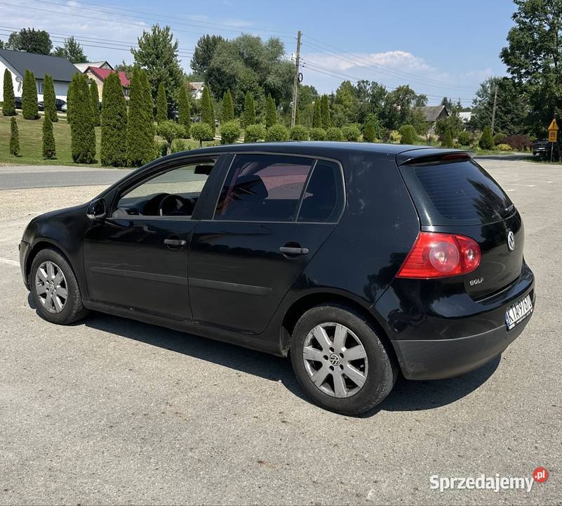 Volkswagen Golf V 16 gaz 2004r Rok produkcji 2004