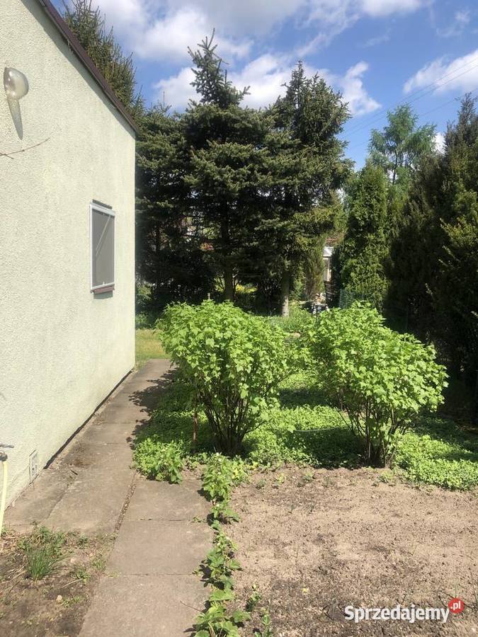 BEZPOŚREDNIO SPRZEDAM DZIAŁKĘ W ROD SŁOWIK