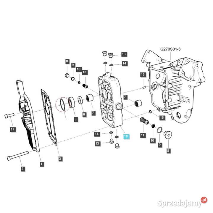 Oring 4460 x 260 mm LS MT125 AS568132 TRG270 podkarpackie Tajęcina sprzedam