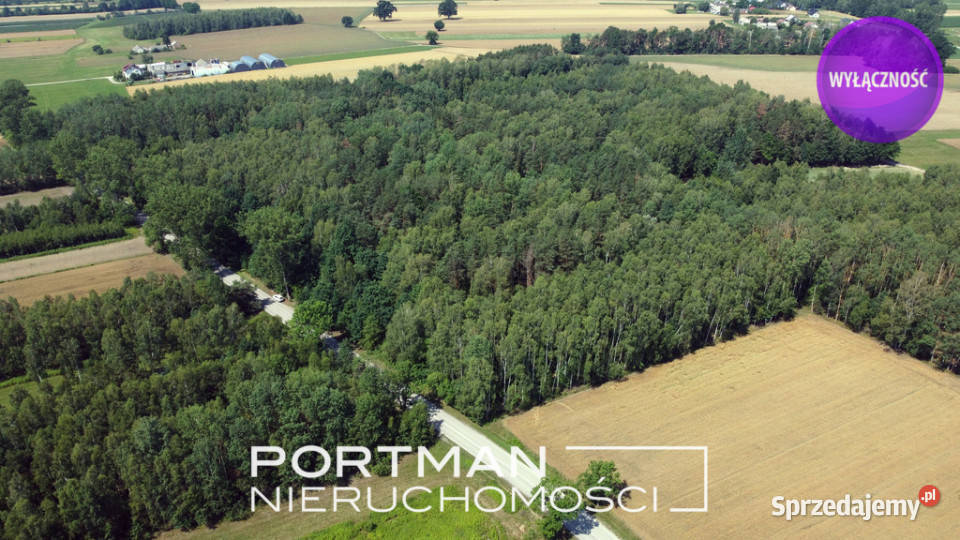 Działka w Dobrzyńcu 15 200 m2 asfalt Dobrzyniec
