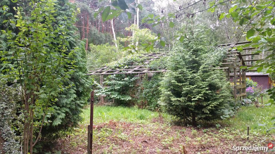 Działka w POD Wirnik Warszawa Bemowo 378m2 polna