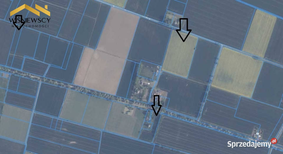 445 ha gruntów rolnych Palczewo