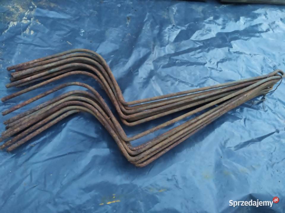 Palec zgrabiarki gwiazdkowej Pozostałe pomorskie Pszczółki