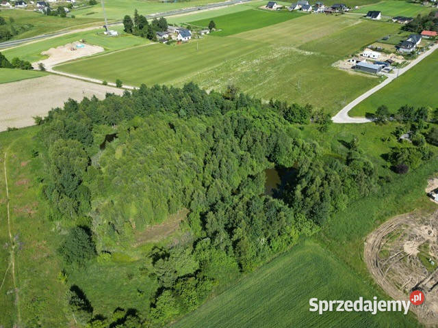 Piękna działka pod siedlisko Gdańsku 8721m2 Sprzedaż Glincz