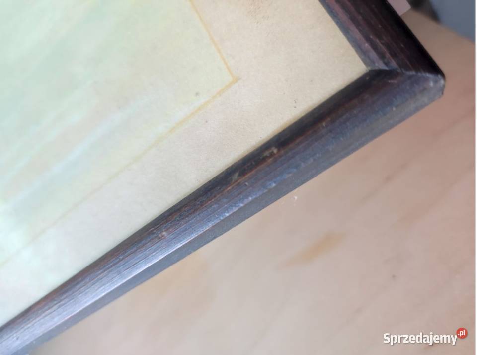 rysunek grafika obraz akwarela ramka ptaszki Kielce