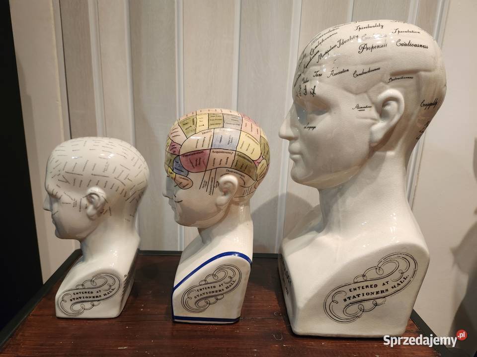 Głowy medyczne PhrenologyFrenologia Police
