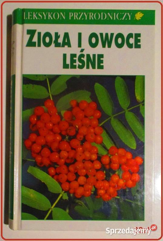 Zielony świat Tatr ZRadwańska Paryska roślinność Łódź