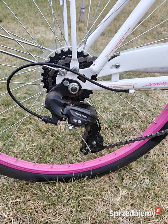 Rower damka 26 Nowa Sól