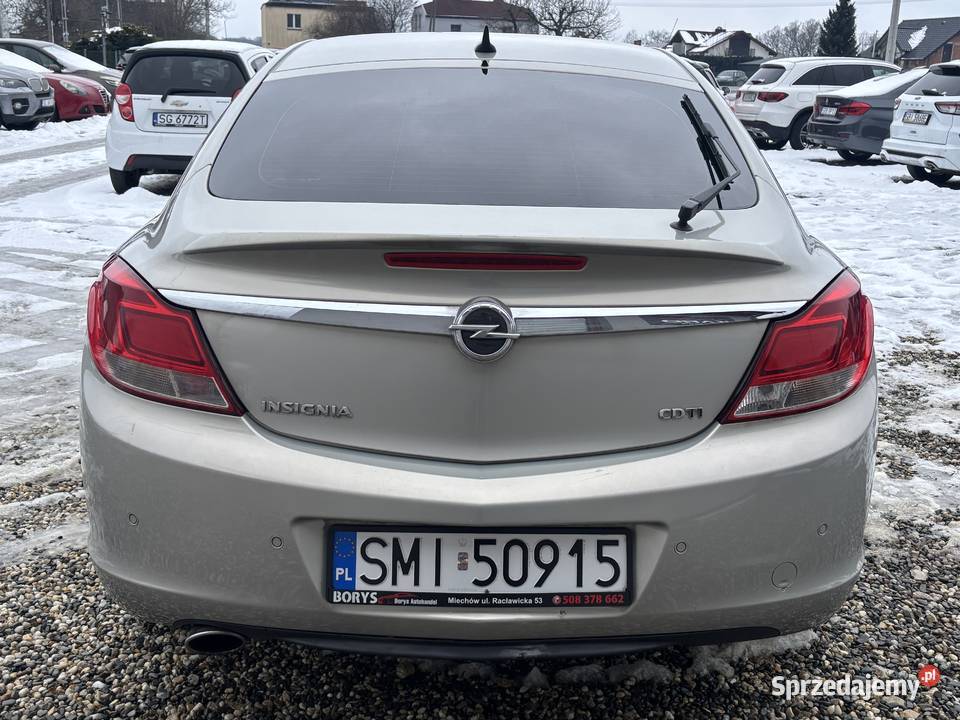 Opel Insignia Paniówki