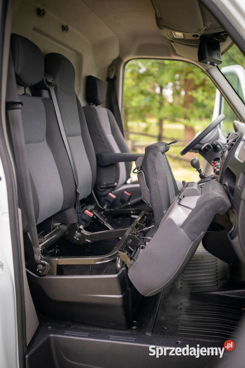 Nissan NV400 KONIOWÓZ Samochód do przewozu koni Rok produkcji 2016 Rokietnica