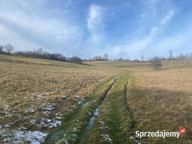 Grunt 6451m2 Ustjanowa Dolna Ustjanowa Dolna 13zł/m2 podkarpackie