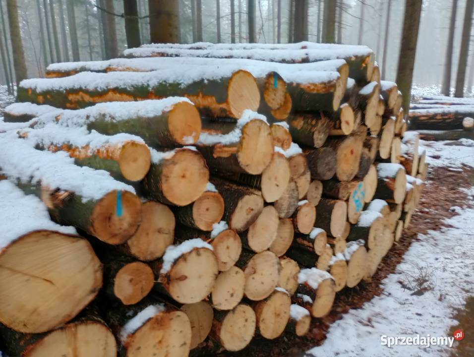 Drewno opałowe twarde buk brzoza Opał Kłodzko