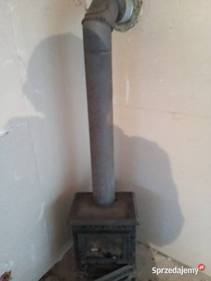 Kominek koza 2 sezony