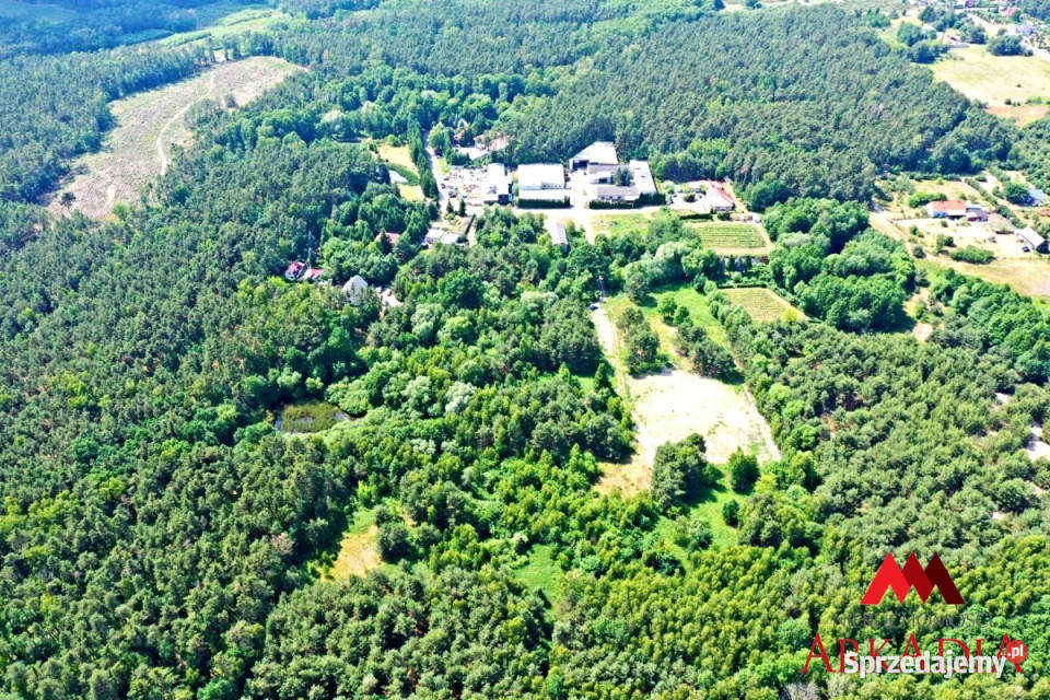 Grunt 3856m2 ŁęgWitoszyn Sprzedaż Łęg-Witoszyn