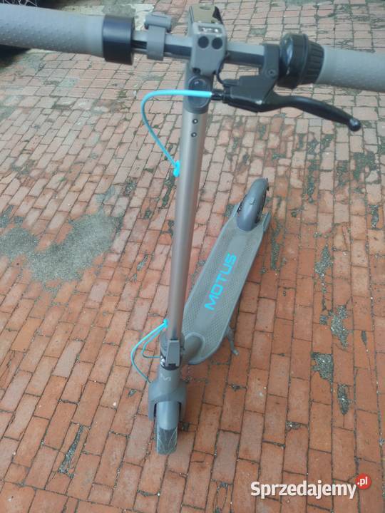 Motus Scoty 10 Legnica