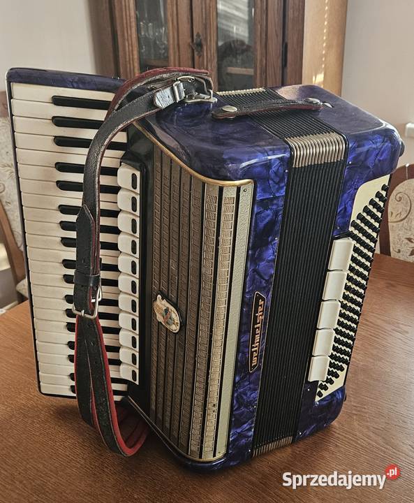 Akordeony 3 w zestawie