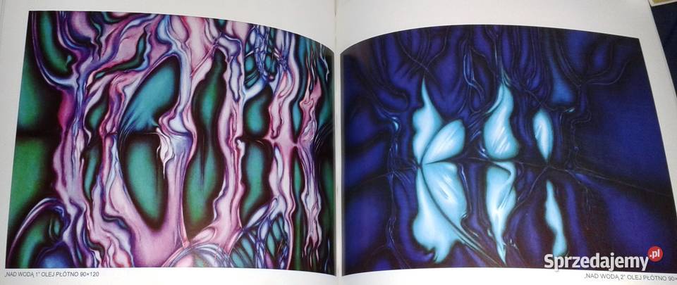 Malarstwo Janusz Trzebiatowski Książki i Podręczniki Chełm