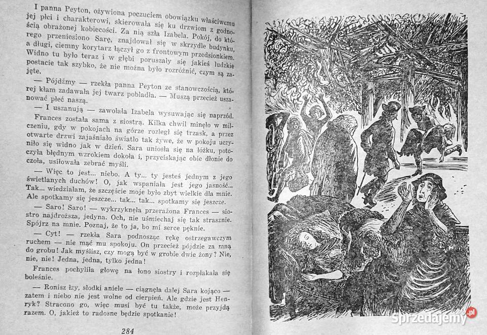 Szpieg Opowieść o ziemi niczyjej James Fenimore Pozostałe Chełm sprzedam