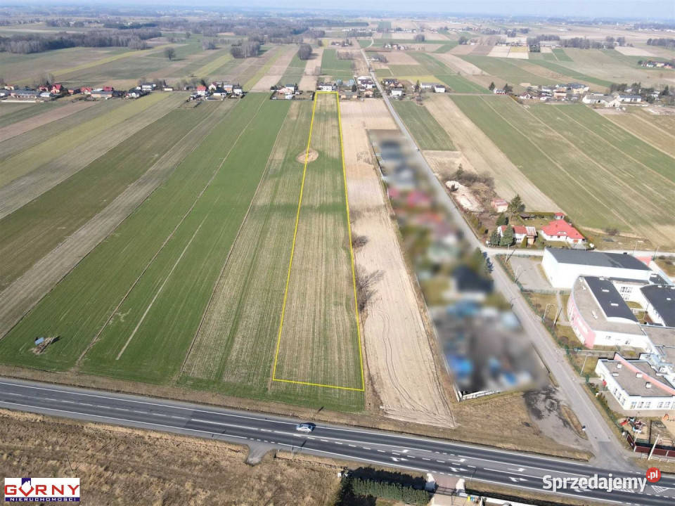 Działka Gomulin 16400m2 16400m2 Sprzedaż