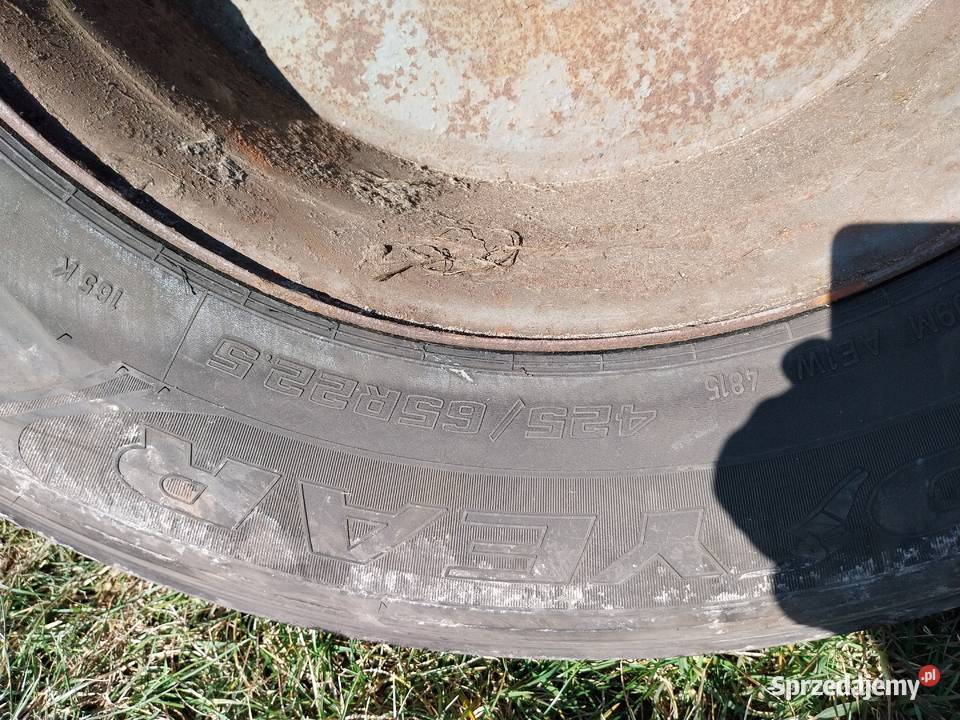 Koło przyczepy HL Brandys Autosan itp 42565R225 nieuszkodzony Borek