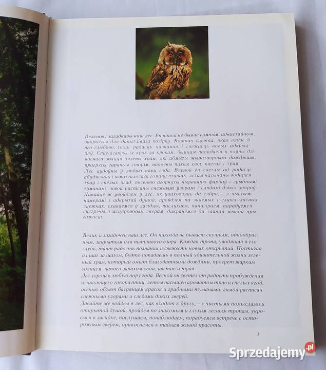 Spotkanie z lasem C Hajnówka