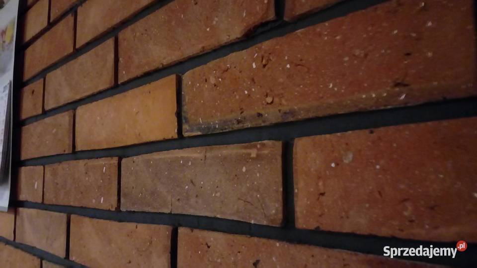Płytki z cegły środki Lica cegła rozbiórkowa wielkopolskie Pakosław
