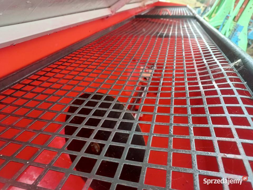 tume siewnik zbozowy Białystok