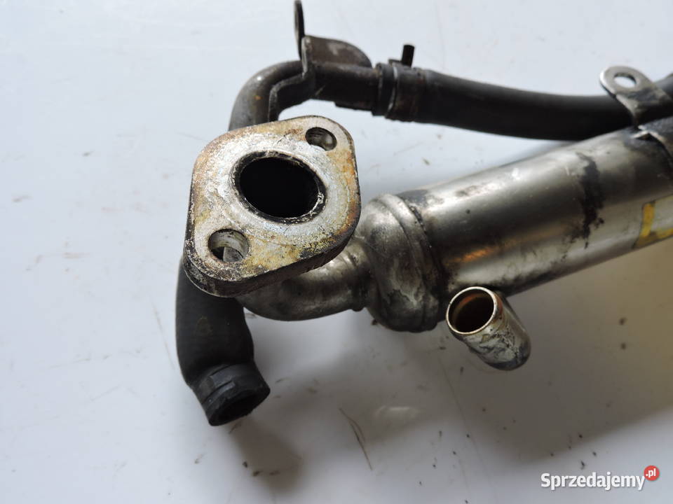 Chłodnica spalin Opel astra H 17 Diesel Myszków sprzedam