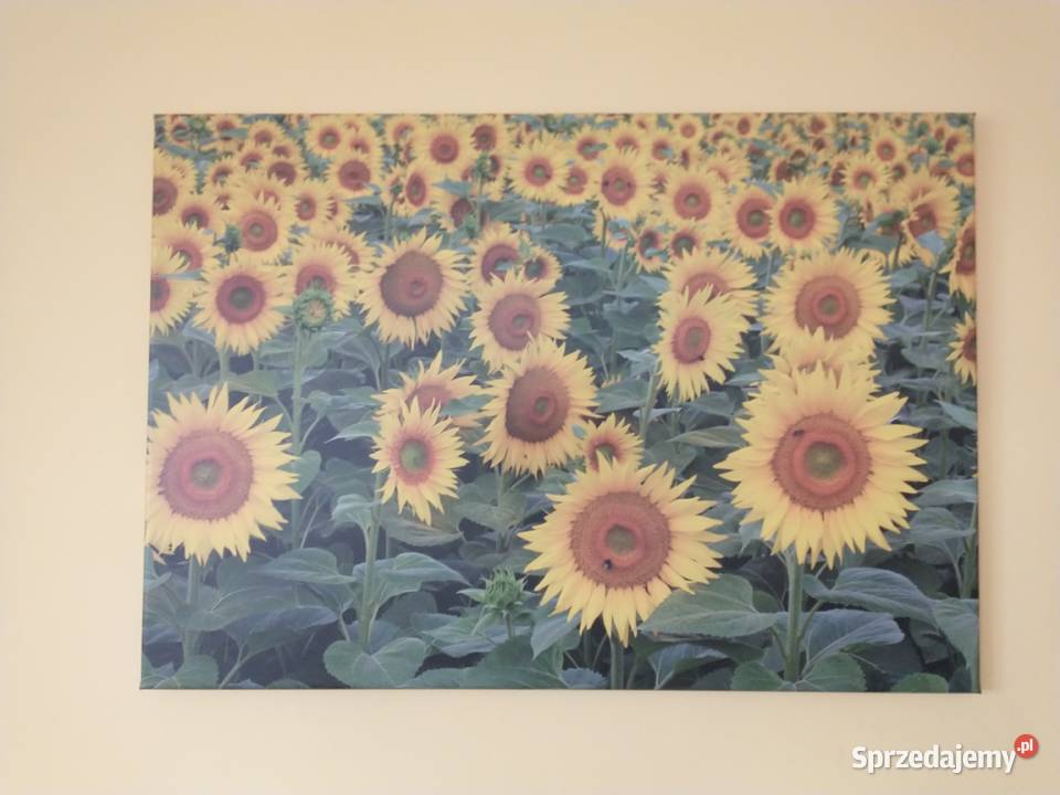 Foto obraz na płótnie inny kolor