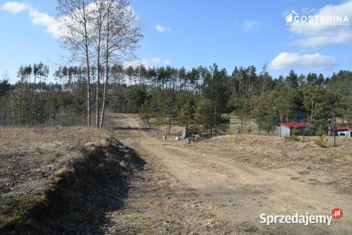 Sprzedam działka Parchowo 1312m2 Sprzedaż