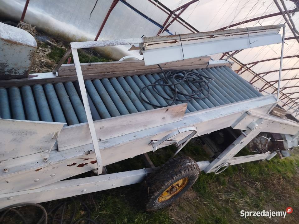 Sortownik do ziemniaków cebuli nieuszkodzony Sortowniki Biszcza