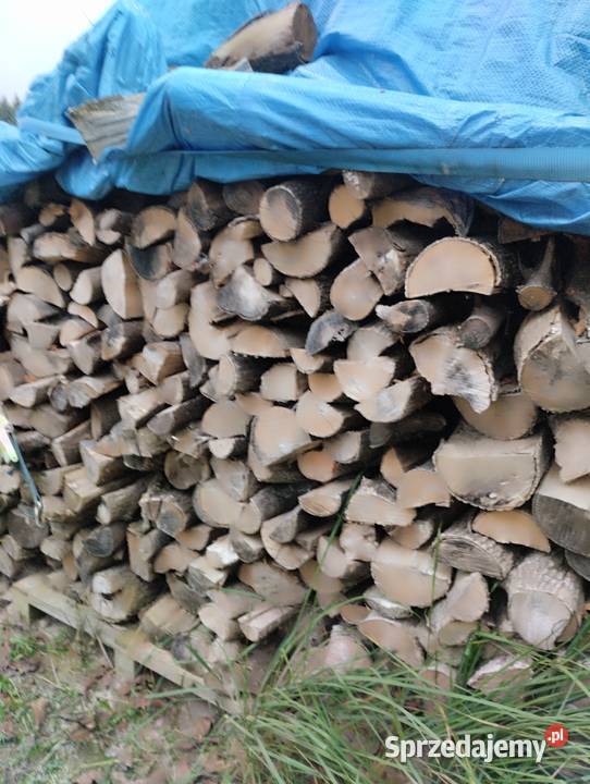 Jesion drewno kominkowe Lublin