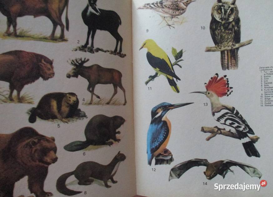 Encyklopedia dzieci Polska moja ojczyzna Łódź
