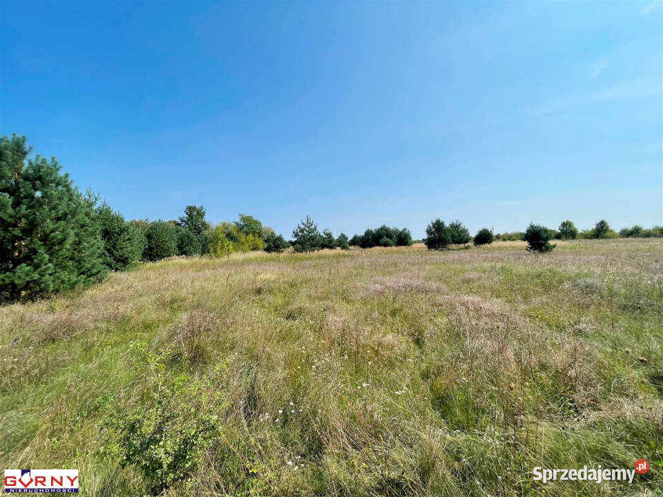 Działka 9871m2 Sulejów sprzedam