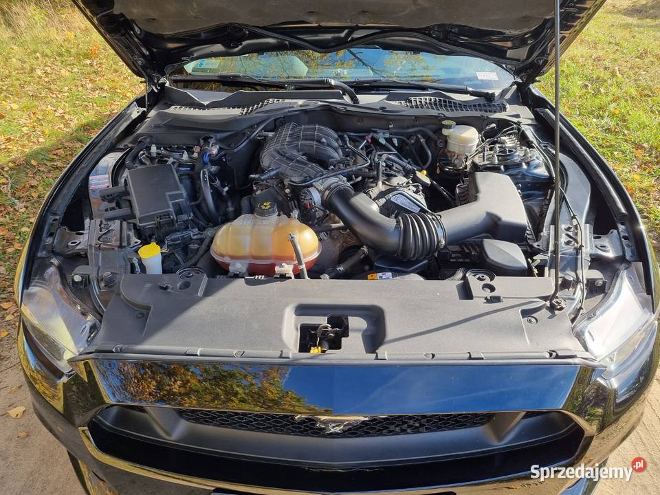 Ford Mustang V6 305 Drawsko Pomorskie
