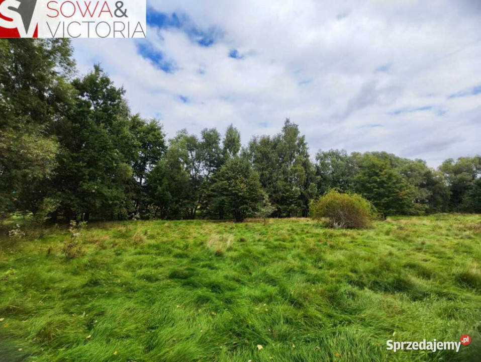 Ciekawa działka budowlana w otulinie drzew Pobiedna