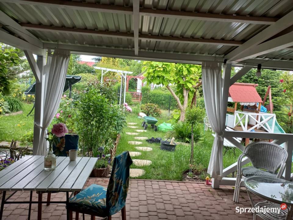 Dzialka ROD Bernatówka64 asfalt Dys