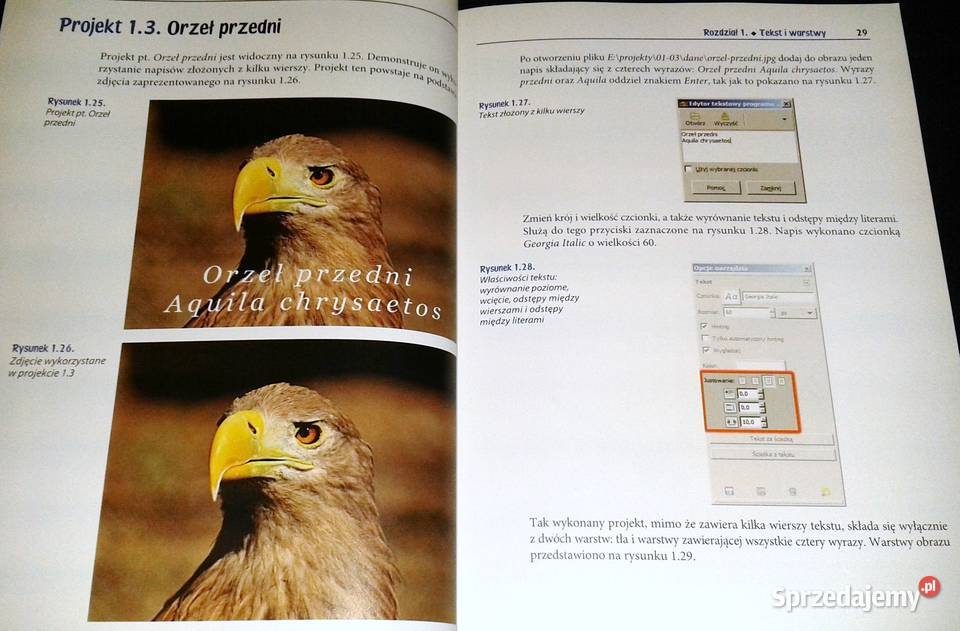 GIMP Praktyczne projekty Włodzimierz Gajda Książki i Podręczniki Chełm