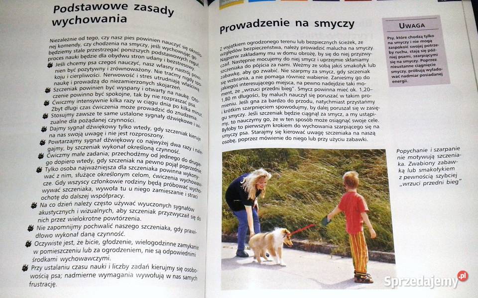 Szczenięta Heidi Rogner Chełm