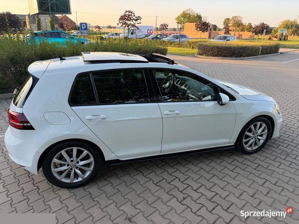 VW Golf GTD 20 TDI SCR DSG 184 2015r Możliwa wielkopolskie Krotoszyn